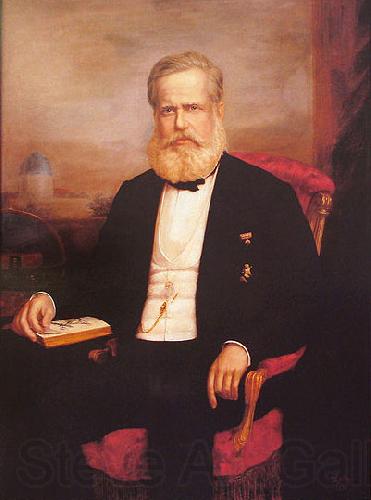 Delfim da Camara Portrait of Dom Pedro II Norge oil painting art